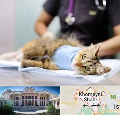 جراح حیوانات در خمینی شهر