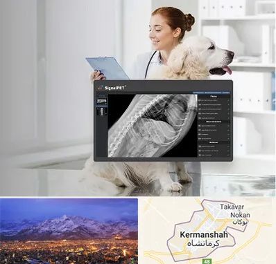 رادیولوژی حیوانات در کرمانشاه