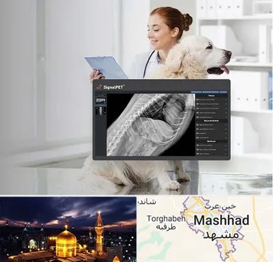 رادیولوژی حیوانات در مشهد
