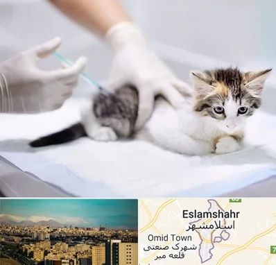 واکسیناسیون حیوانات در اسلامشهر