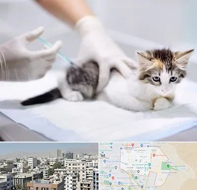 واکسیناسیون حیوانات در منطقه 14 تهران 