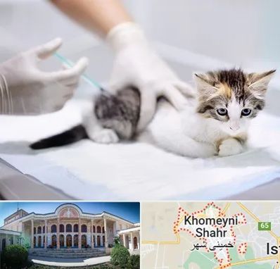واکسیناسیون حیوانات در خمینی شهر