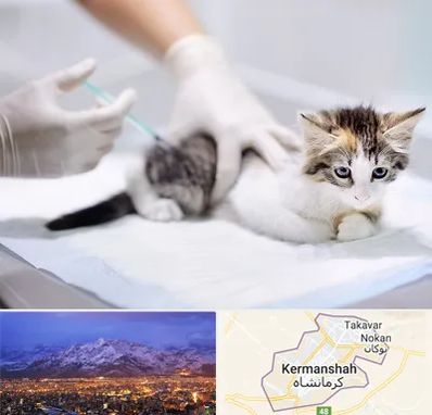 واکسیناسیون حیوانات در کرمانشاه