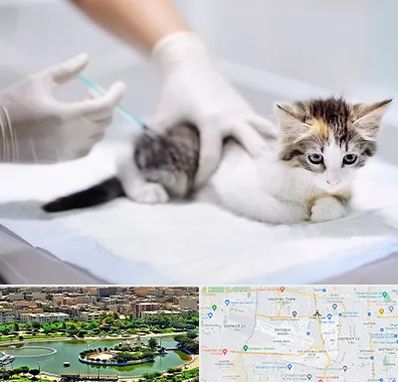 واکسیناسیون حیوانات در منطقه 9 تهران 