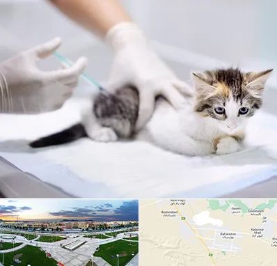 واکسیناسیون حیوانات در بهارستان اصفهان