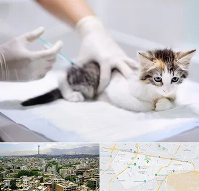 واکسیناسیون حیوانات در منطقه 8 تهران 