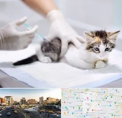 واکسیناسیون حیوانات در منطقه 7 تهران 