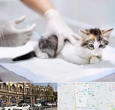 واکسیناسیون حیوانات در منطقه 11 تهران 