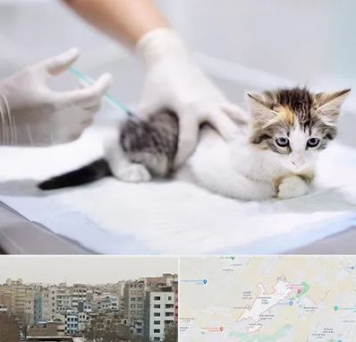 واکسیناسیون حیوانات در محمد شهر کرج