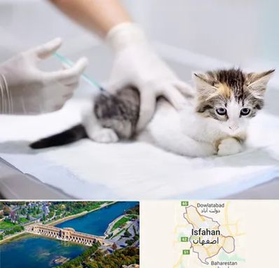 واکسیناسیون حیوانات در اصفهان