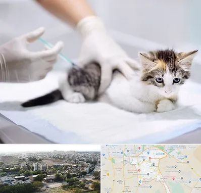 واکسیناسیون حیوانات در منطقه 20 تهران 