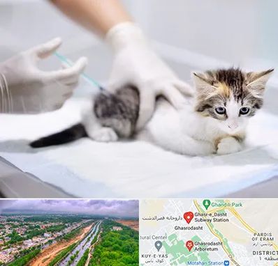 واکسیناسیون حیوانات در قصرالدشت شیراز