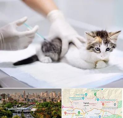 واکسیناسیون حیوانات در منطقه 1 تهران 