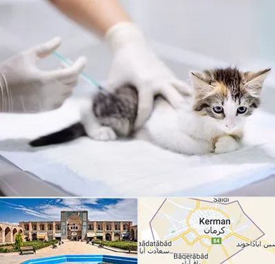 واکسیناسیون حیوانات در کرمان