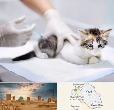 واکسیناسیون حیوانات در یزد