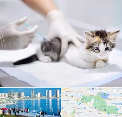 واکسیناسیون حیوانات در چیتگر 