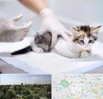 واکسیناسیون حیوانات در منطقه 16 تهران 