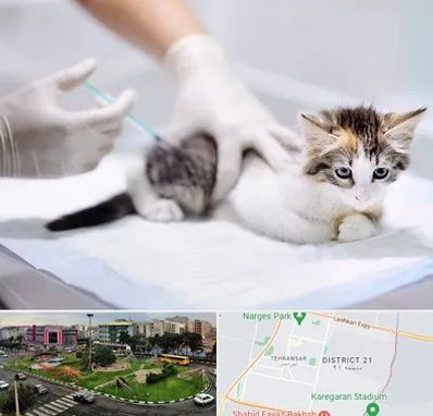 واکسیناسیون حیوانات در تهرانسر 