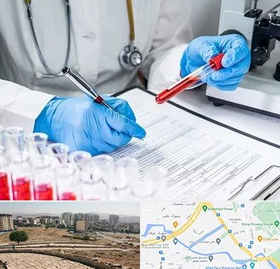 آزمایشگاه اعتیاد در کوی وحدت شیراز