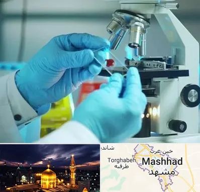 آزمایشگاه با جواب فوری در مشهد