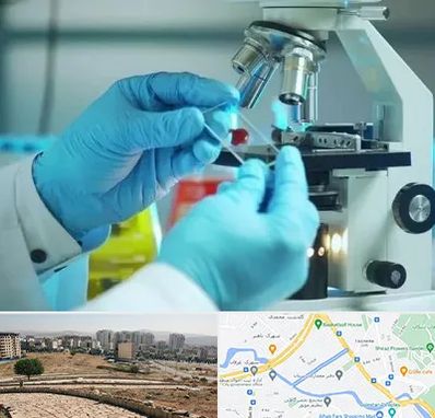 آزمایشگاه با جواب فوری در کوی وحدت شیراز