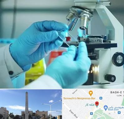 آزمایشگاه با جواب فوری در فلکه گاز شیراز