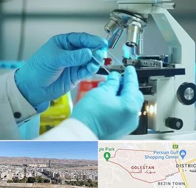 آزمایشگاه با جواب فوری در شهرک گلستان شیراز