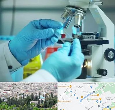 آزمایشگاه با جواب فوری در محلاتی شیراز