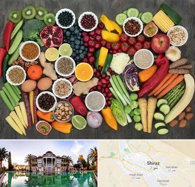 دکتر تغذیه برای چاقی در شیراز