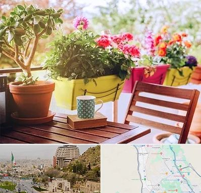 گیاه آپارتمانی در فرهنگ شهر شیراز