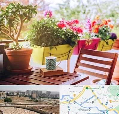 گیاه آپارتمانی در کوی وحدت شیراز
