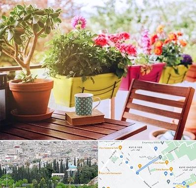 گیاه آپارتمانی در محلاتی شیراز