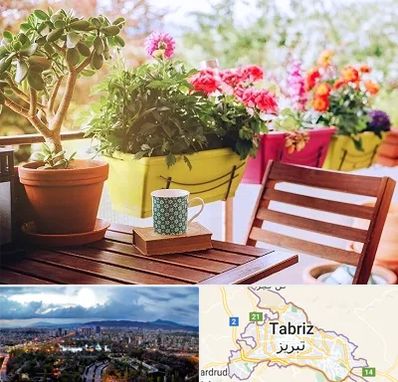 گیاه آپارتمانی در تبریز