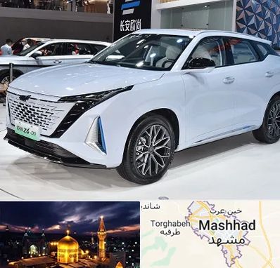 نمایشگاه ماشین چینی در مشهد