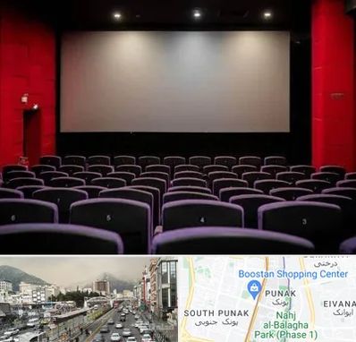 سینما در پونک 