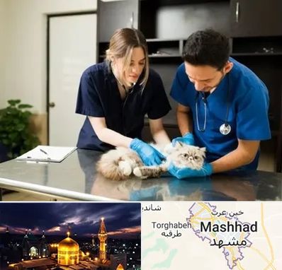 دامپزشکی سیار در مشهد