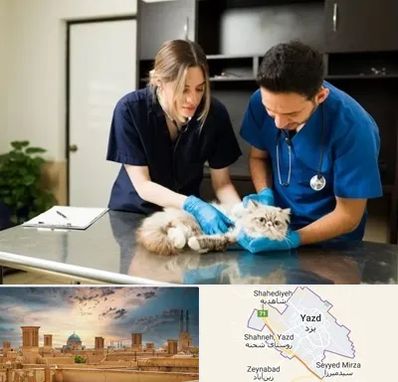 دامپزشکی سیار در یزد