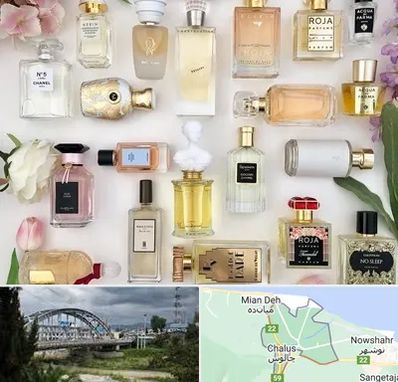 فروشگاه عطر اورجینال در چالوس