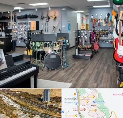 مرکز فروش ساز موسیقی در خیابان نیایش شیراز