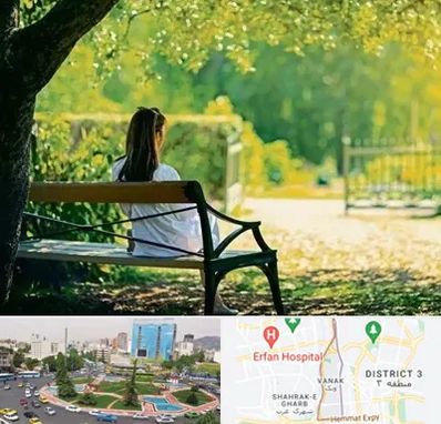 پارک بانوان در ونک 