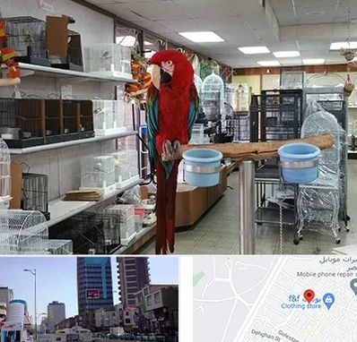 پرنده فروشی در چهارراه طالقانی کرج 