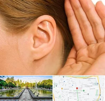 درمان وزوز گوش در سرسبز 