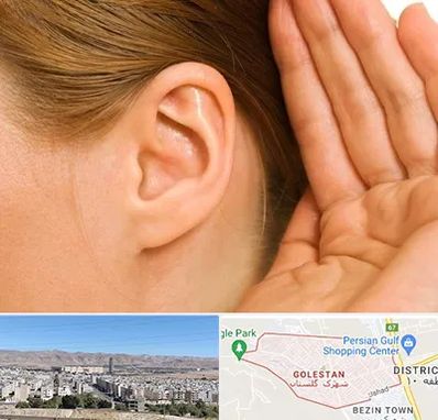 درمان وزوز گوش در شهرک گلستان شیراز 