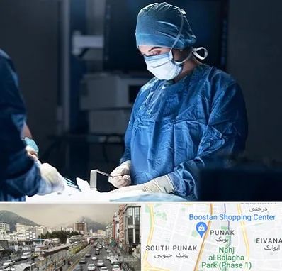 جراح زنان و زایمان در پونک