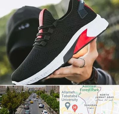کفش اسپورت مردانه در شهران 