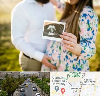 عکاسی بارداری در شهران 
