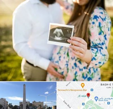 عکاسی بارداری در فلکه گاز شیراز 
