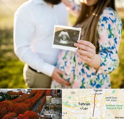عکاسی بارداری در ولیعصر 