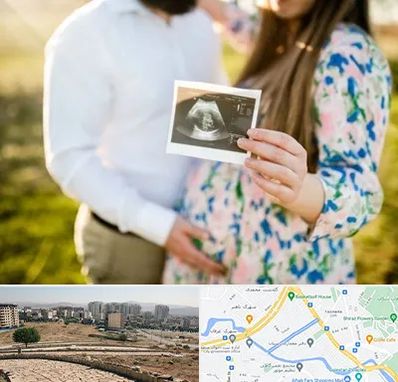 عکاسی بارداری در کوی وحدت شیراز 
