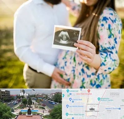 عکاسی بارداری در بهارستان 